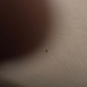 Meet your Posher, Omar